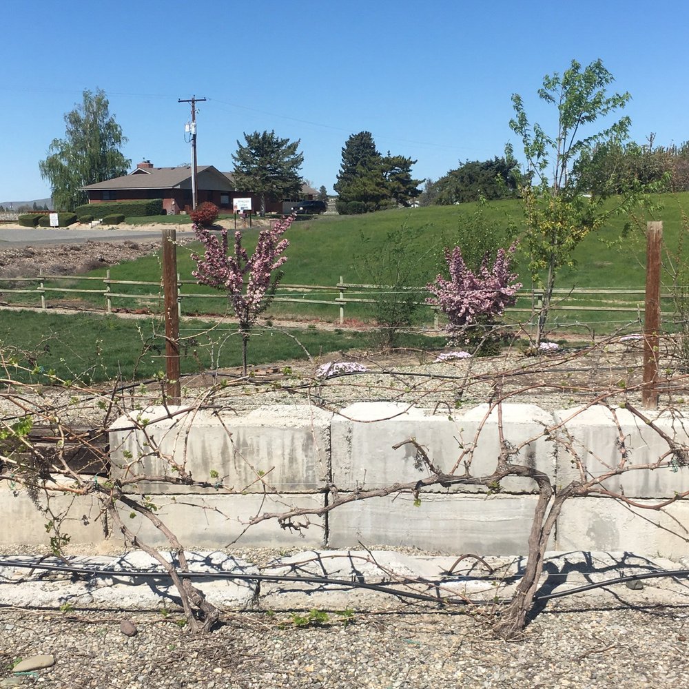 Tanjuli Winery - Wineries Near Me - Zillah, Washington Tanjuli Winery - Wineries Near Me - Zillah, Washington
