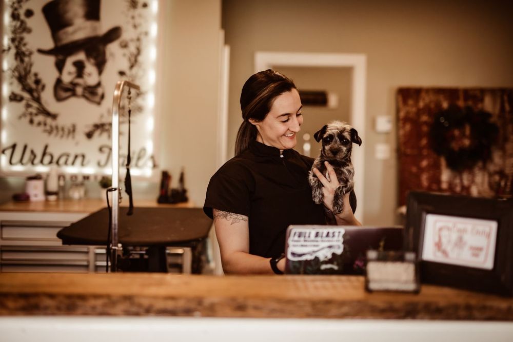 URBAN TAILS GROOMING Updated July 2024 14 Photos 349 RT 47 N