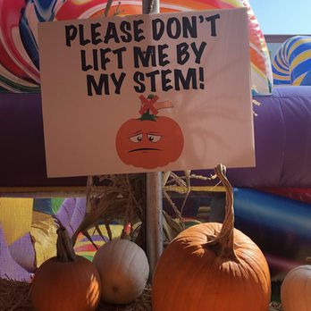 Pasadena Pumpkin Patch - Please ;( - Pumpkin Patches Near Me - Pasadena, California