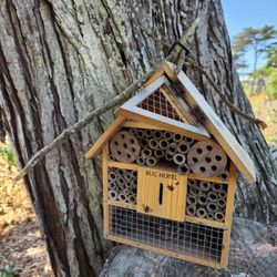 Locke Paddon Wetlands Park - Bug house seemed cool but maybe vacant