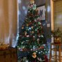 Photo of Family Christmas Tree Farm