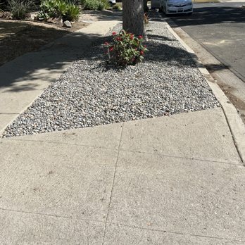 Manuel Ruiz Tree Service - Easement with pebbles - Tree Services Near Me Manuel Ruiz Tree Service - Easement with pebbles - Tree Services Near Me