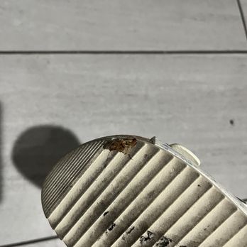 The Live Hotel - Endless battle of trying to kill cockroaches in the room. - Hotels Near Me - Los Angeles, California The Live Hotel - Endless battle of trying to kill cockroaches in the room. - Hotels Near Me - Los Angeles, California