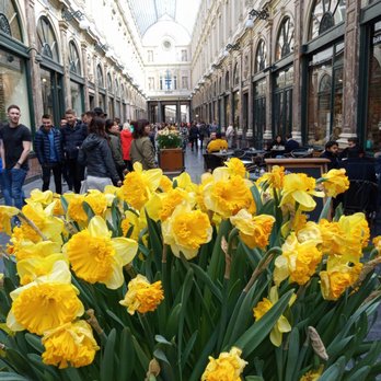 Les Galeries Royales Saint-Hubert - Shopping Centers Near Me - Brussels, BRU Les Galeries Royales Saint-Hubert - Shopping Centers Near Me - Brussels, BRU
