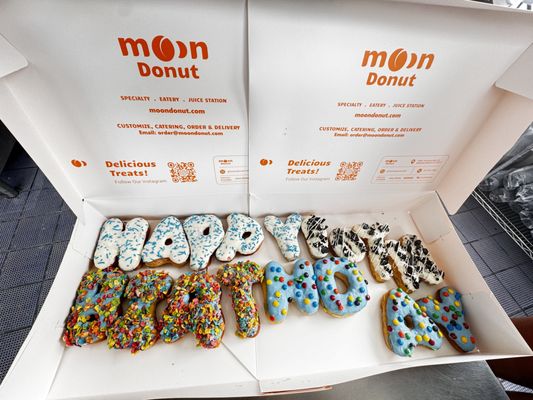 Moon Donuts by null