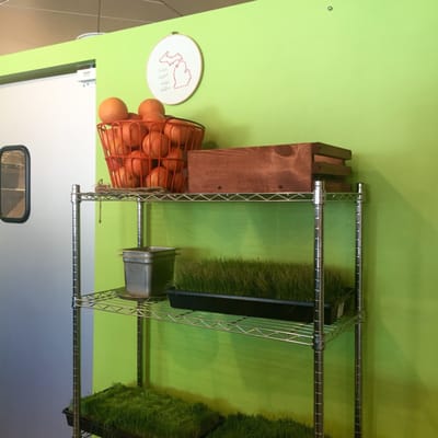 Sip Organic Juice Bar by null