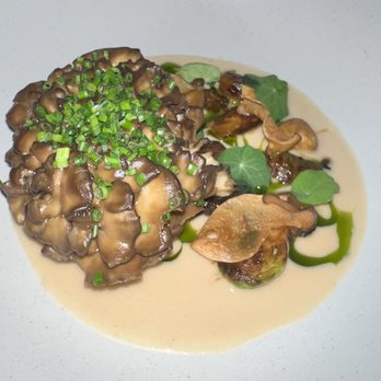 Botanist - Maitake mushroom - Canadian (New) Near Me - Vancouver, British Columbia Botanist - Maitake mushroom - Canadian (New) Near Me - Vancouver, British Columbia