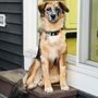 Photo of True.Vet