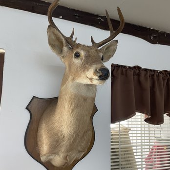 Fruithurst Family Restaurant - a deer head mounted on the wall - American Near Me - Fruithurst, Alabama Fruithurst Family Restaurant - a deer head mounted on the wall - American Near Me - Fruithurst, Alabama