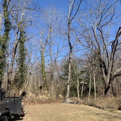 D&R Tree and Lawn Service’s