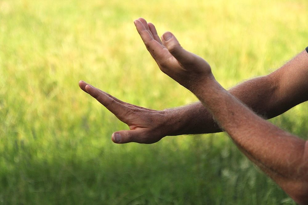 The Tao of Restorative Ecology - grief counselor in South Bend, IN