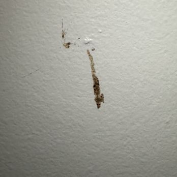 Days Inn by Wyndham Donegal - Ceiling - Hotels Near Me - Donegal, Pennsylvania
