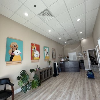A+ Pet Grooming - Lobby/Entrance (June 2023) - Pet Groomers Near Me - West Covina, California A+ Pet Grooming - Lobby/Entrance (June 2023) - Pet Groomers Near Me - West Covina, California