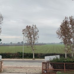 Comune di Assisi