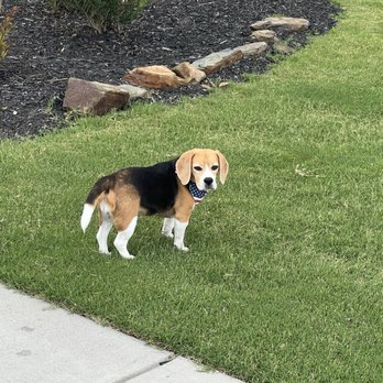 SALTY DOG CAFE - Updated October 2025 - 1110 Photos & 1436 Reviews