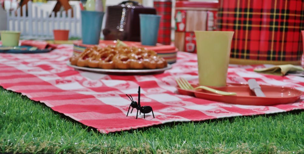 International Museum of Dinnerware Design