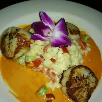 Butterfly Café - Scallop risotto in a pepper cream sauce. - Seafood Near Me - Marathon, Florida