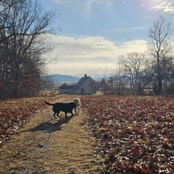 Greenwood farm