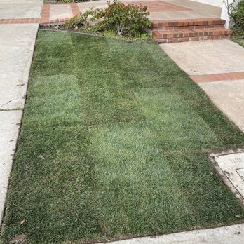 Home Helper - Caleb installed new sod that he bought from Home Depot. - Lawn Services Near Me