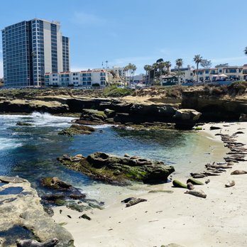 Children's Pool - Beaches Near Me - La Jolla, California Children's Pool - Beaches Near Me - La Jolla, California