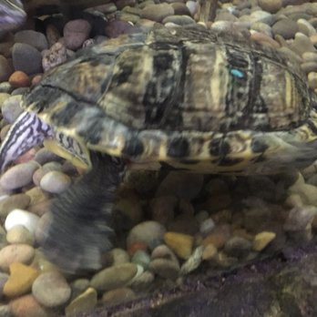 Blue Reef Aquarium - Aquariums Near Me - Newcastle, XTW
