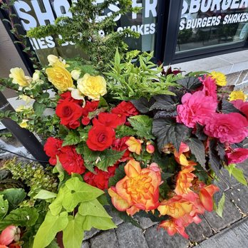 Hammy's Burgers - Gorgeous Flower Pots - Burgers Near Me - Bainbridge Island, Washington Hammy's Burgers - Gorgeous Flower Pots - Burgers Near Me - Bainbridge Island, Washington