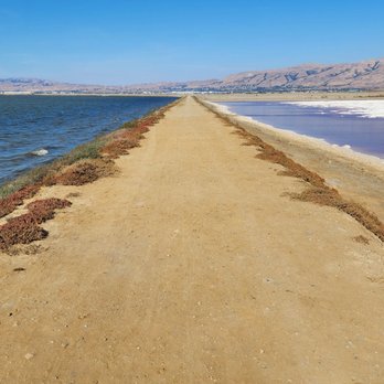 Alviso Marina County Park - Parks Near Me - Alviso, California