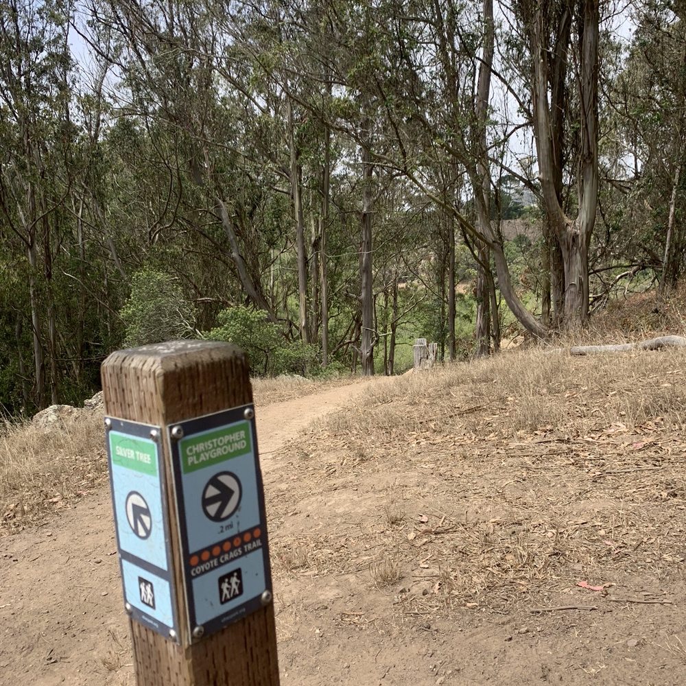 Glen Canyon Park - Glen Canyon Park 07.24.21|Saturday - Parks Near Me - San Francisco, California Glen Canyon Park - Glen Canyon Park 07.24.21|Saturday - Parks Near Me - San Francisco, California