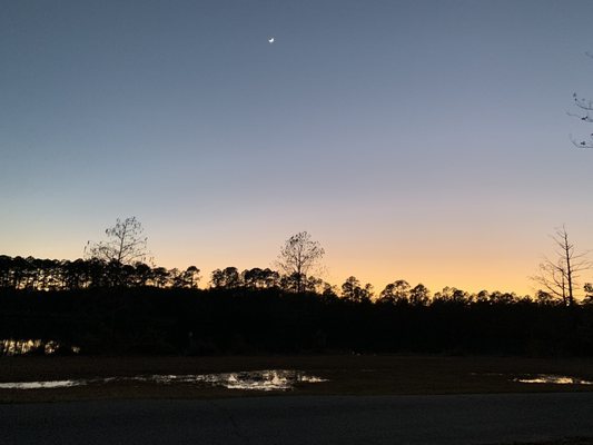 Laura S. Walker State Park by null