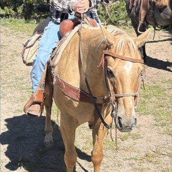 Yellowstone Roughriders - Horseback Riding Near Me Yellowstone Roughriders - Horseback Riding Near Me