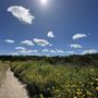 Photo of Chollas Lake Park
