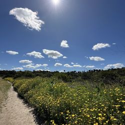 Chollas Lake Park