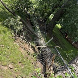 Hutchison Tree Service