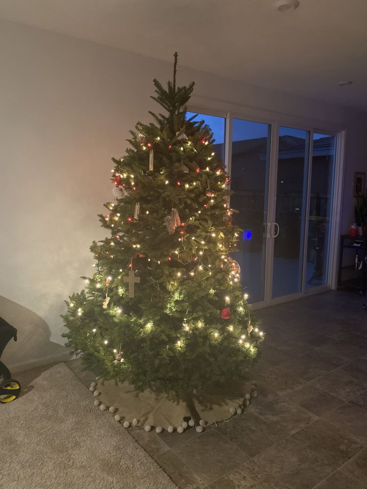 SEGALE CHRISTMAS TREE LOT Updated August 2024 12 Reviews 400420