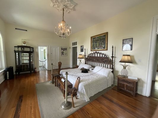 The Hemingway Home and Museum by null