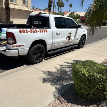 Sandstorm Pest Control - Pest Control Near Me