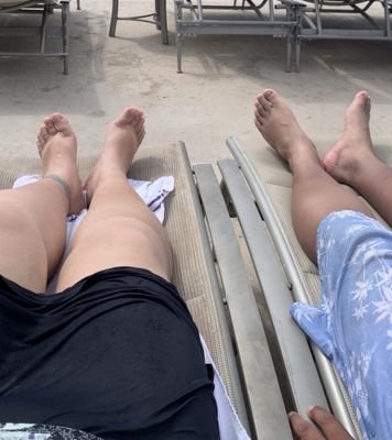 The Oasis Pool by null