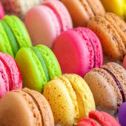 New England Dessert Showcase