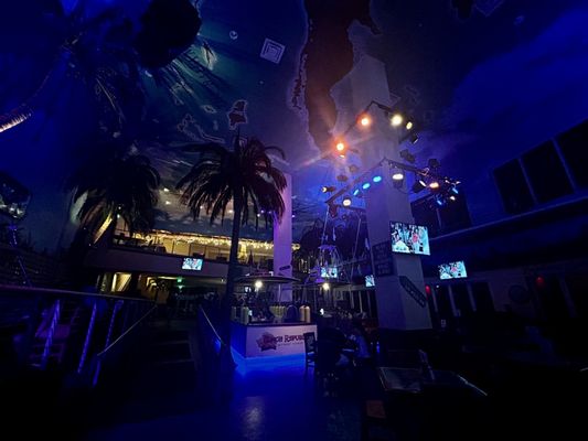 Margaritaville Restaurant by null