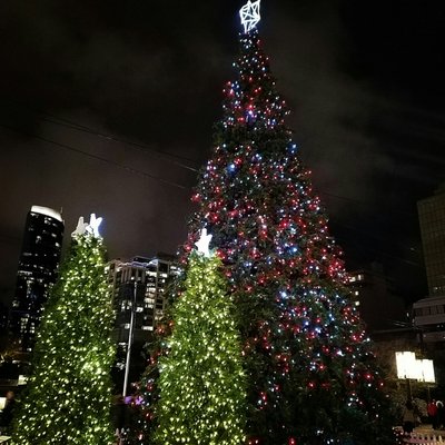 Robson Square Ice Rink by null