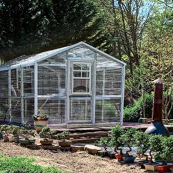 10x16 Greenhouse. What will you grow this year?
