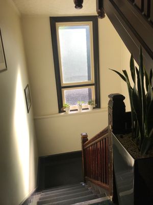 Mercantile Hotel by null