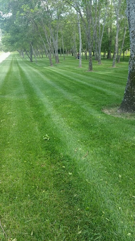 TURF BROS. LAWN AND LANDSCAPE Updated September 2024 Altamont