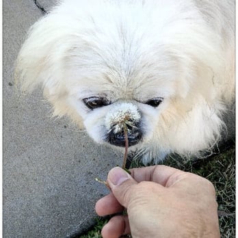 Deerfield Community Park - As long as that thing ain't in my mouth I'm ok. - Parks Near Me - Irvine, California Deerfield Community Park - As long as that thing ain't in my mouth I'm ok. - Parks Near Me - Irvine, California