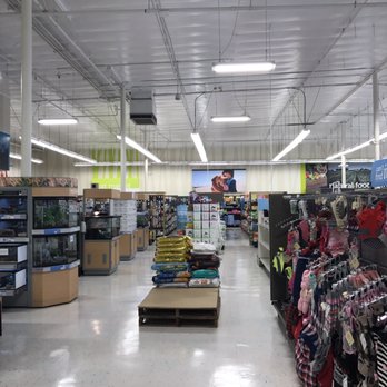 Petco - Clean and organized - Pet Stores Near Me - Los Angeles, California Petco - Clean and organized - Pet Stores Near Me - Los Angeles, California