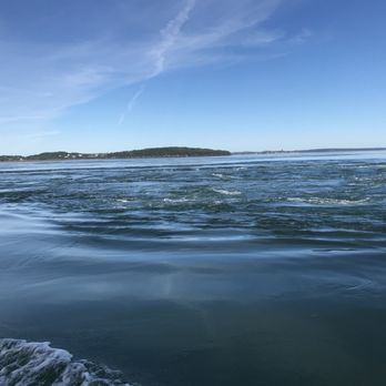Downeast Charter Boat Tours - Tours Near Me - Lubec, Maine