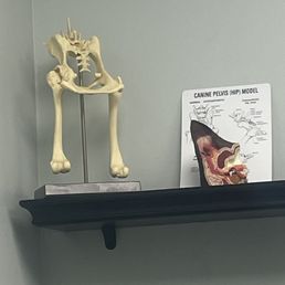 Waiting room things Waiting room things