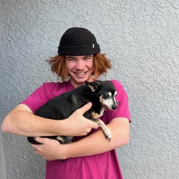 Bark and Beyond Pet Services - Pet Sitting Near Me Bark and Beyond Pet Services - Pet Sitting Near Me