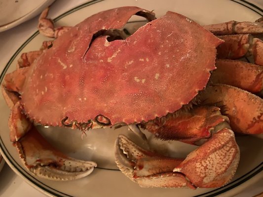 Hyde Street Seafood House & Raw Bar by null