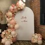 Photo of Balloon Creations